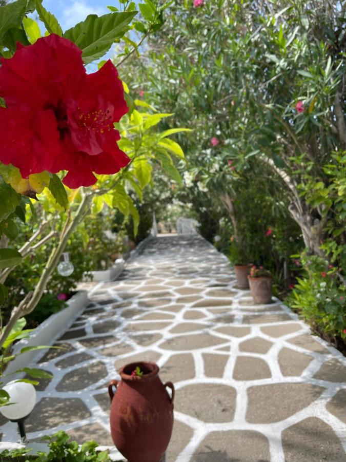 Seaside Studios Arkasa Karpathos Exteriör bild